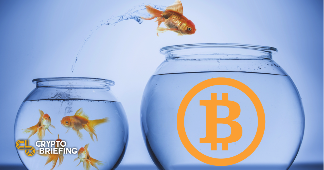 Bitcoin puede retroceder poco antes de nuevos máximos históricos