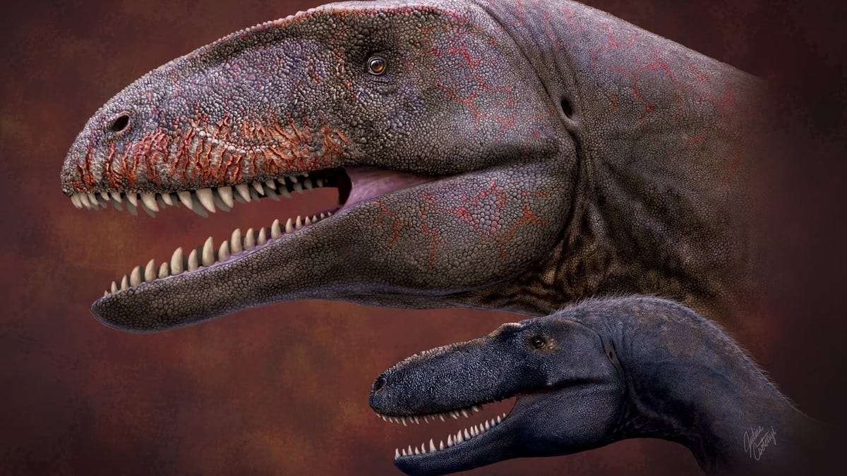 Este nuevo dinosaurio cenaba tiranosaurios