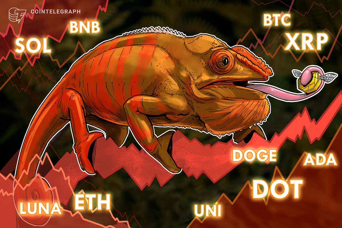 Análisis de precios del 22 de octubre: BTC, ETH, BNB, ADA, XRP, SOL, DOT, DOGE, LUNA, UNI
