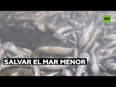 Ambientalistas en España exigen al Gobierno medidas para salvar el mar Menor
