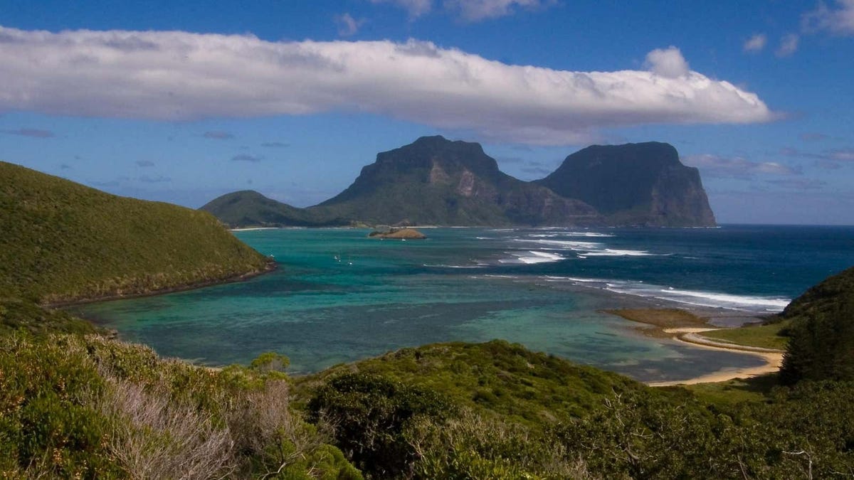 Nada para alejar a las ratas fuera de esta isla protegida
