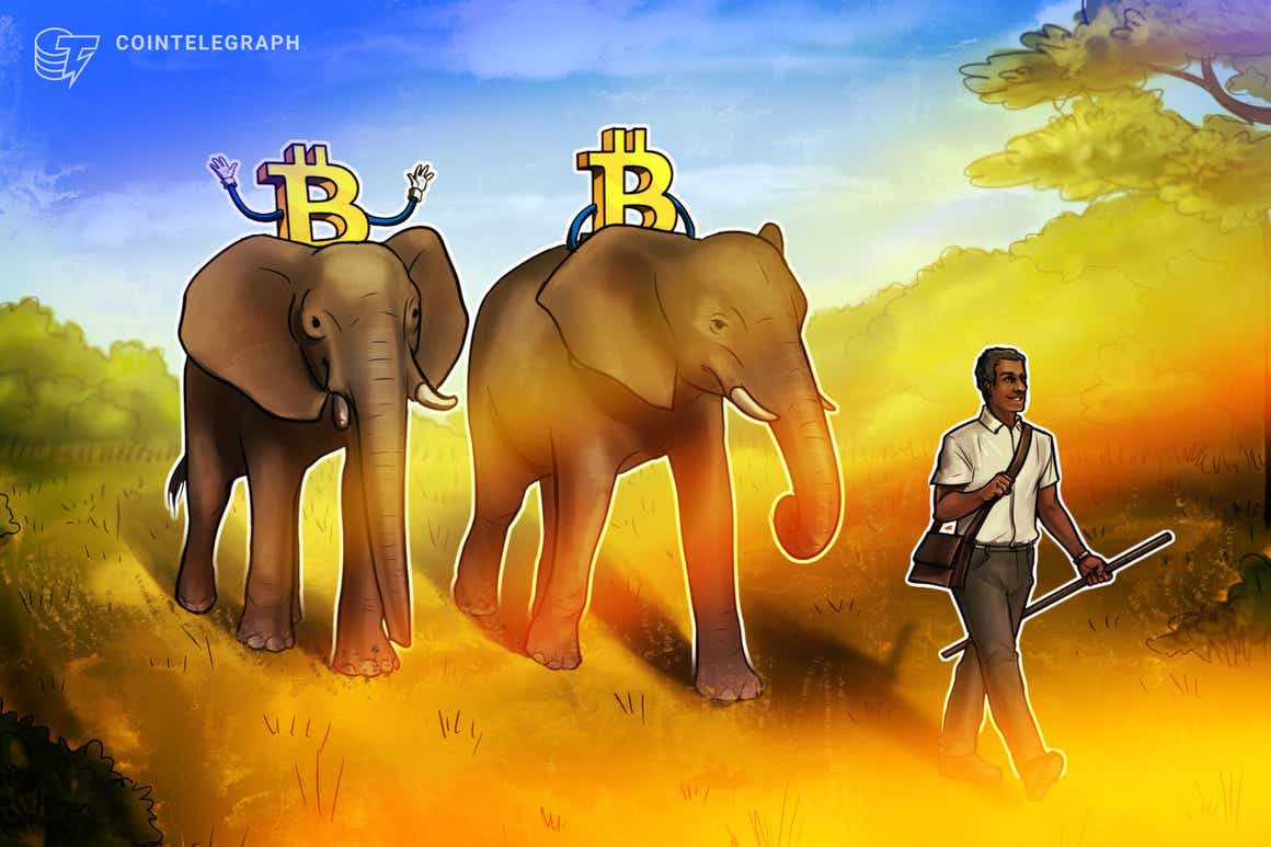Zimbabue podría ser el próximo país en adoptar Bitcoin como moneda de curso legal
