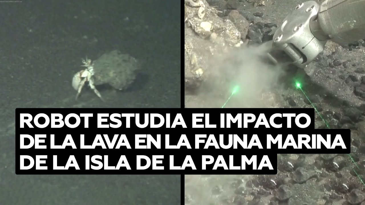 Un robot estudia el impacto de la lava en la fauna marina de la isla de La Palma