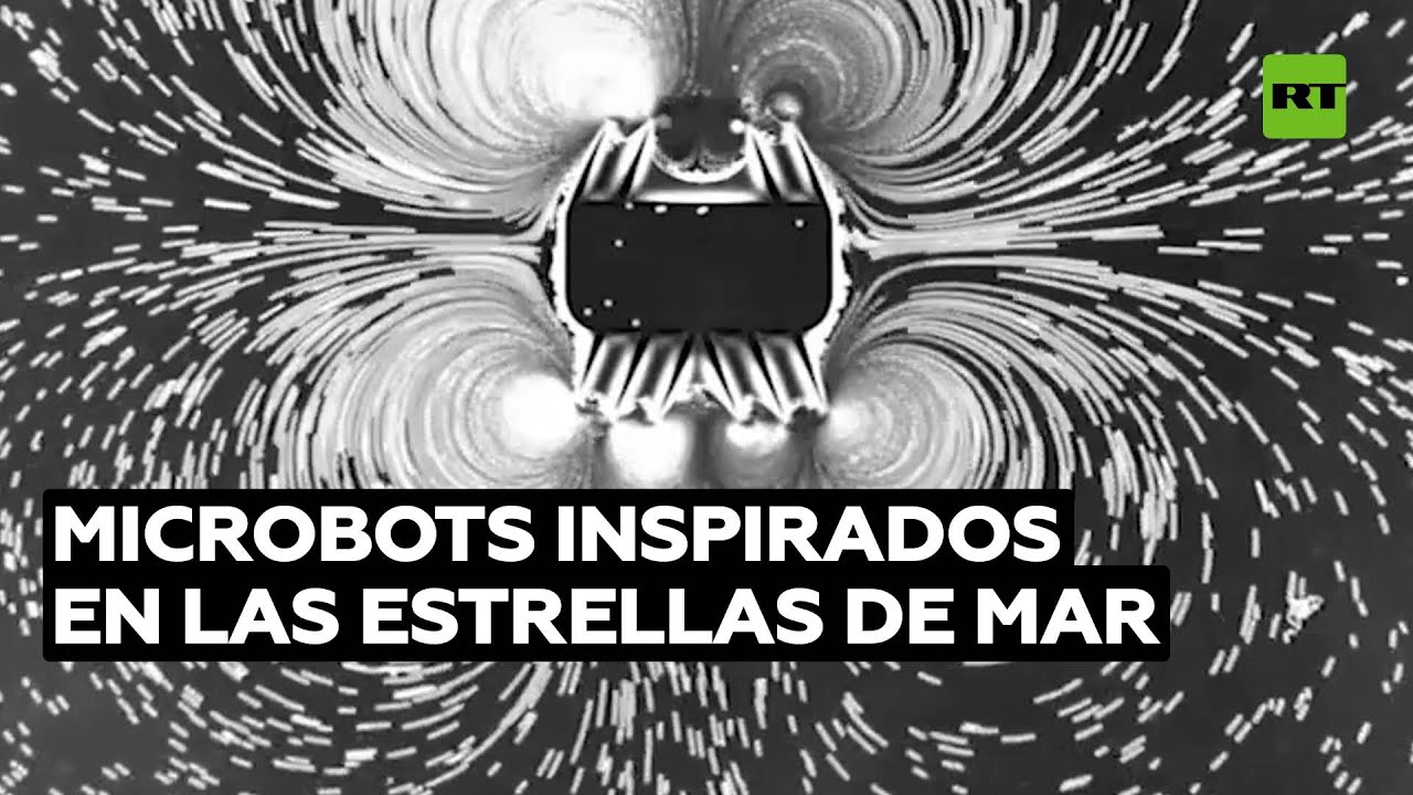 Científicos crean robots minúsculos inspirados en las estrellas de mar @RT Play en Español