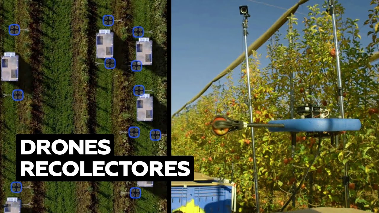 Fabrican drones que 'saben' qué cosecha recolectar @RT Play en Español