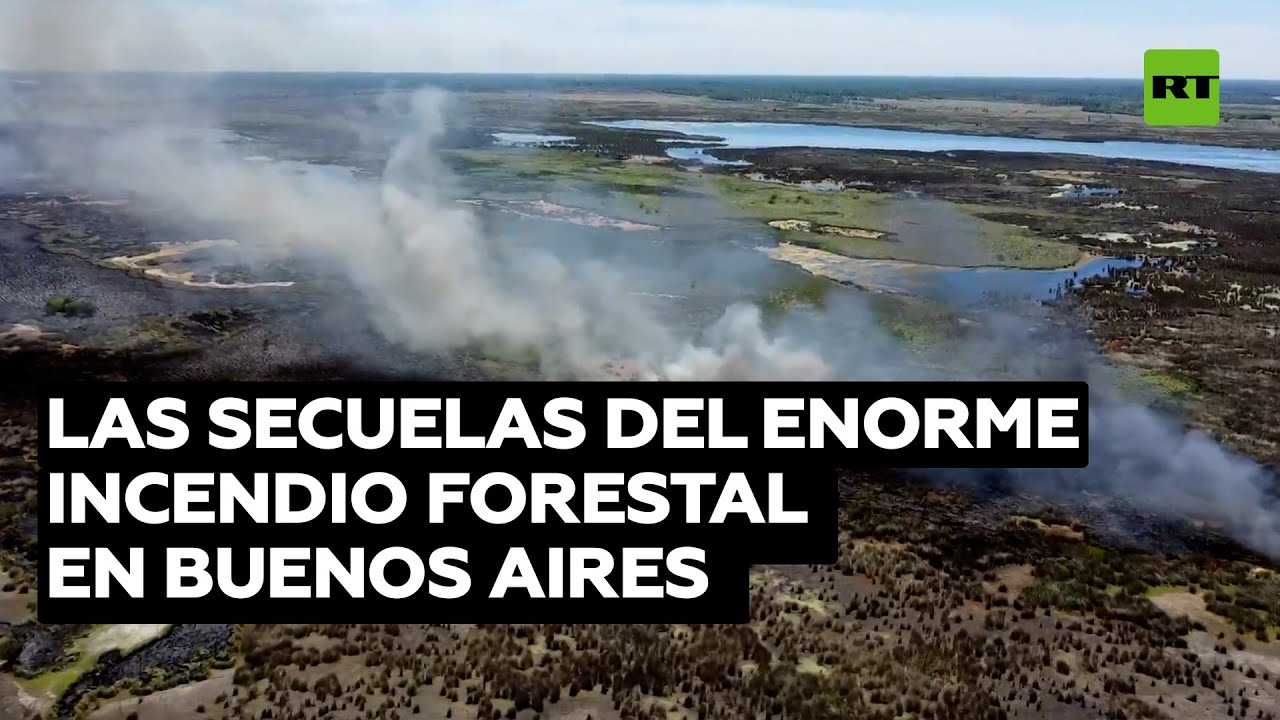 Las secuelas del enorme incendio forestal en Buenos Aires