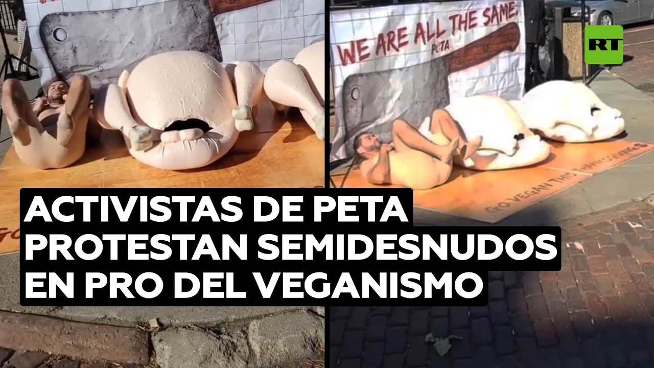 Activistas de PETA posan semidesnudos al lado de pollos gigantes @RT Play en Español