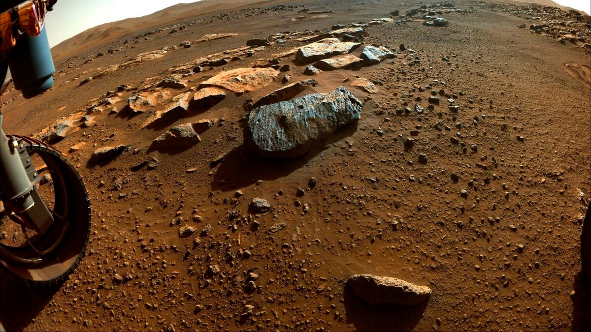 Falsos microfósiles podrían dificultar la búsqueda de vida en Marte