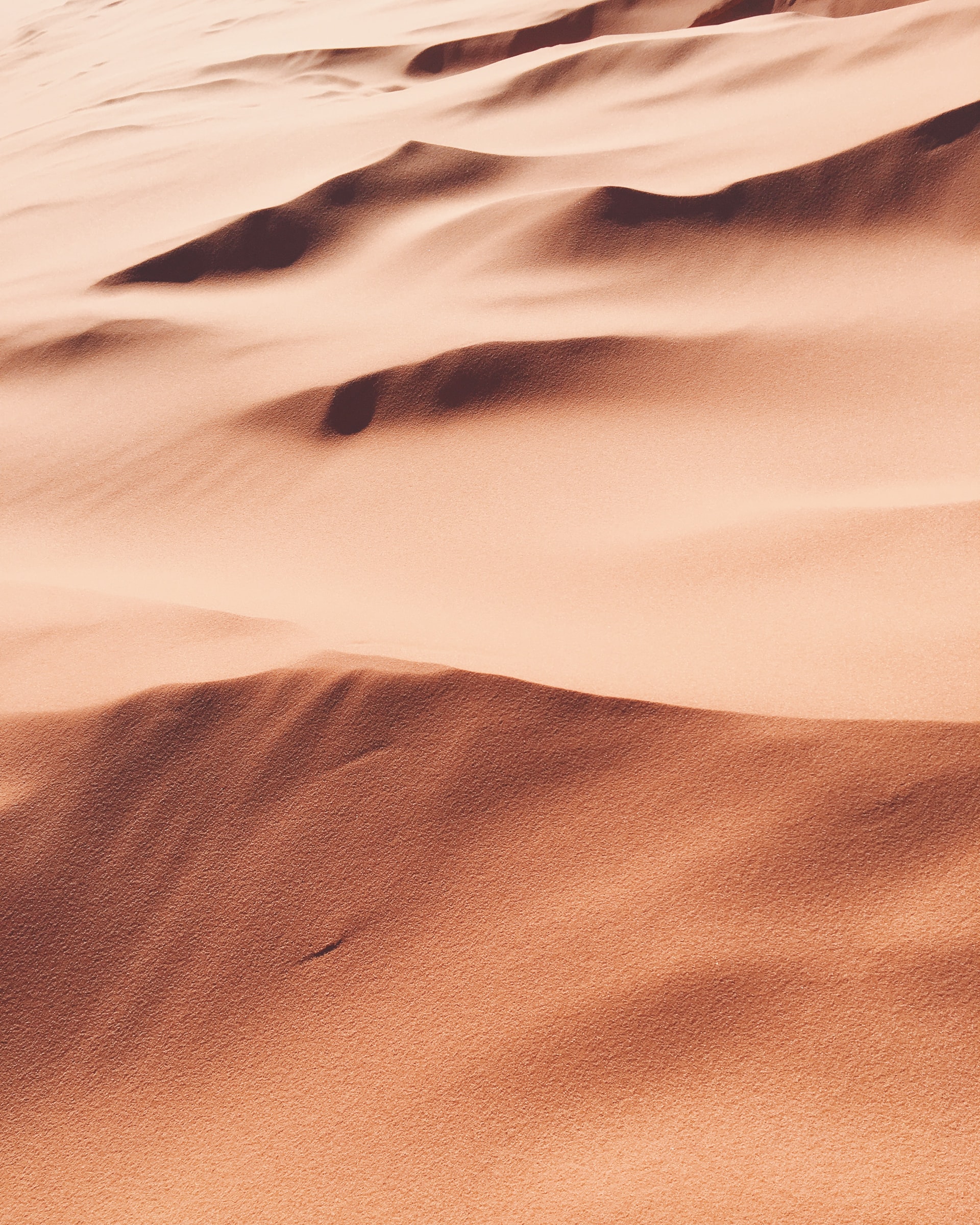DAO hará público el manuscrito de Dune de Jodorowsky: miembro ganó una oferta de $ 3 millones