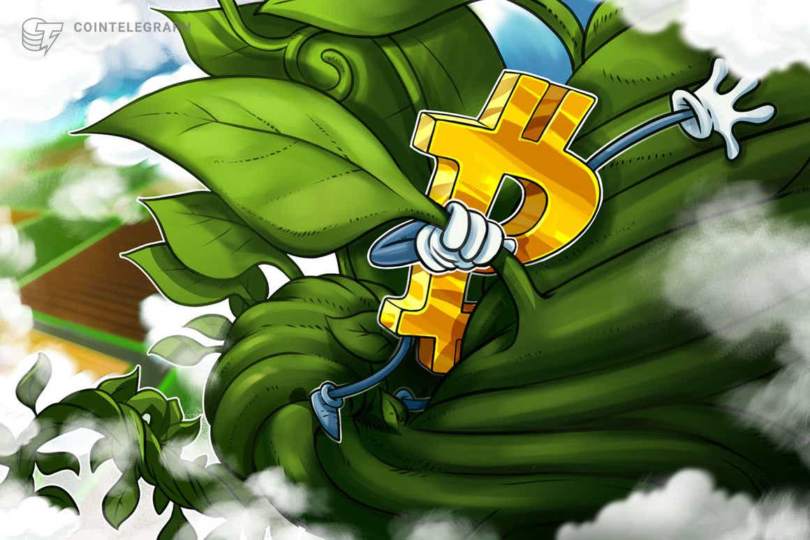 El ‘rally de Santa Claus’ de Bitcoin se detiene en la marca de USD 51,500
