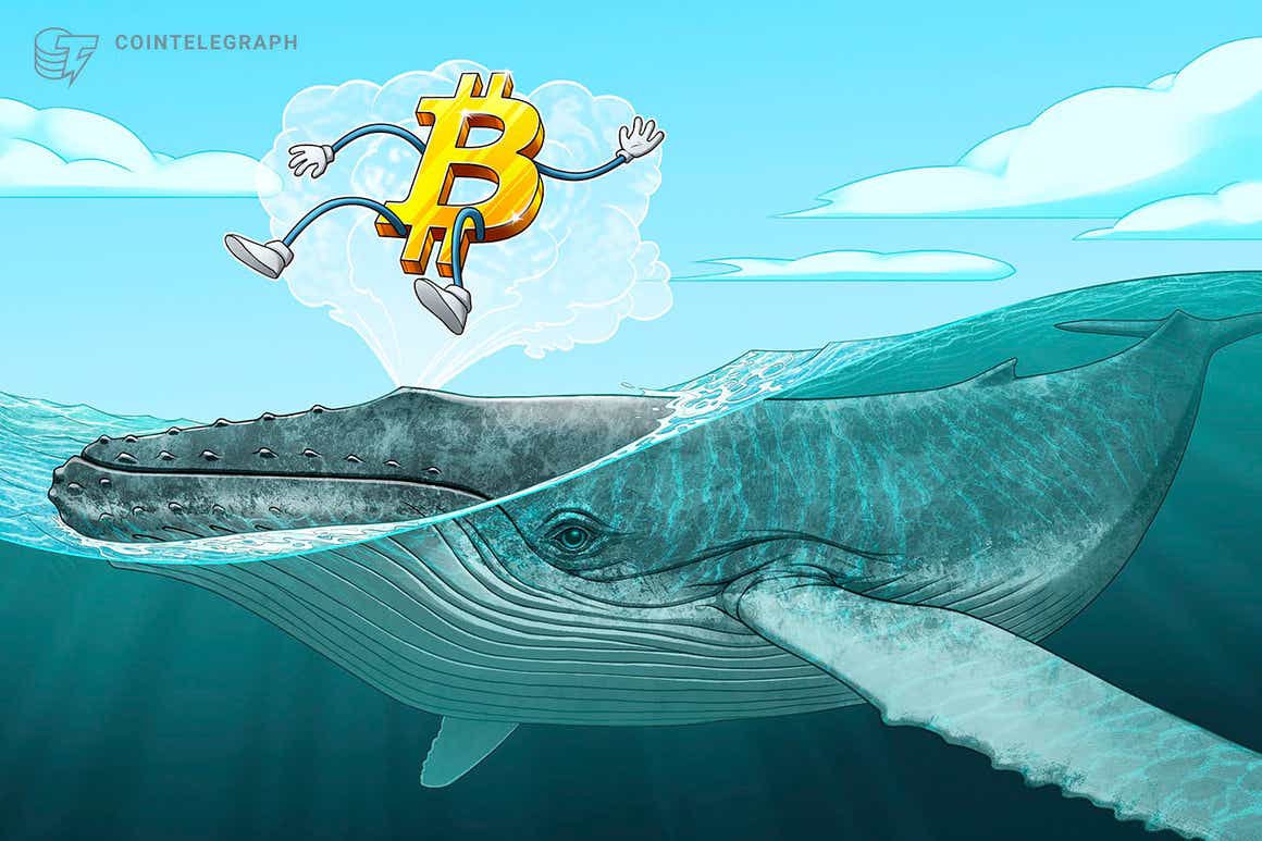 Las ballenas de Bitcoin mueven nuevas monedas a los exchanges repitiendo el comportamiento anterior a la caída del precio a los USD 42,000
