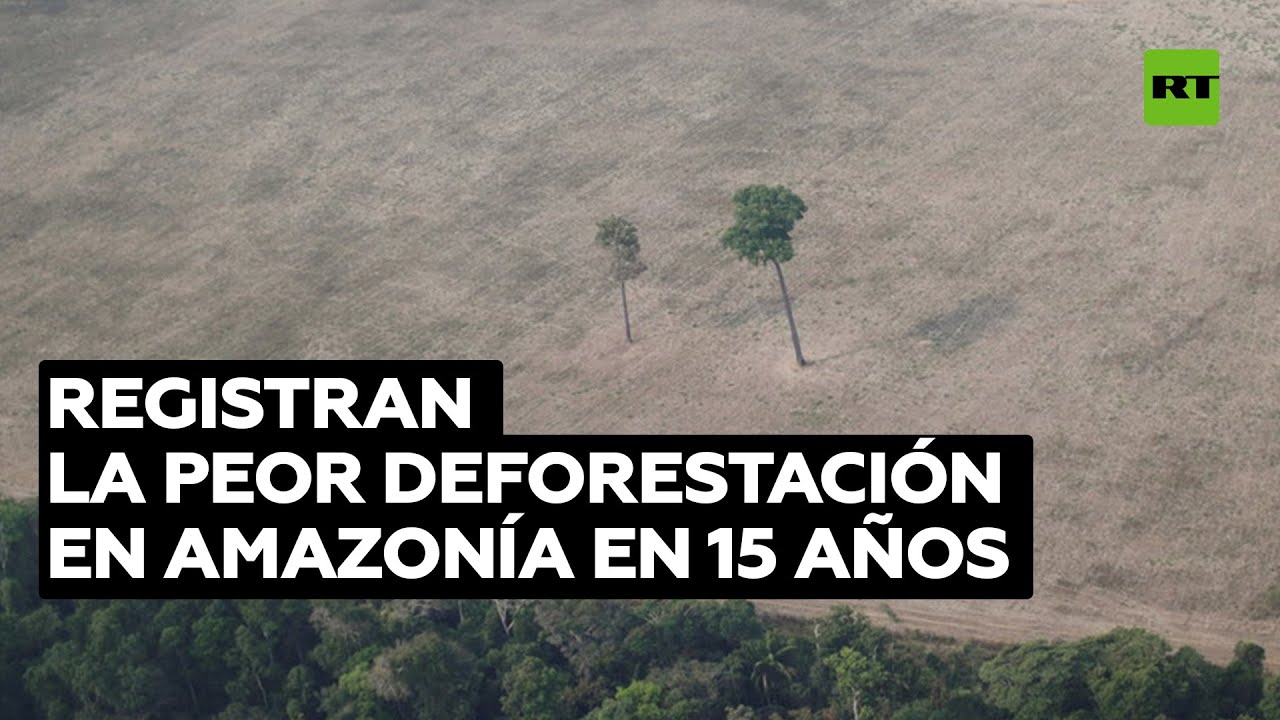La deforestación en la Amazonía brasileña alcanza su peor nivel desde 2006