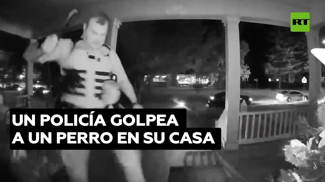 Un policía golpea brutalmente a un perro en su casa en EE.UU. @RT Play en Español