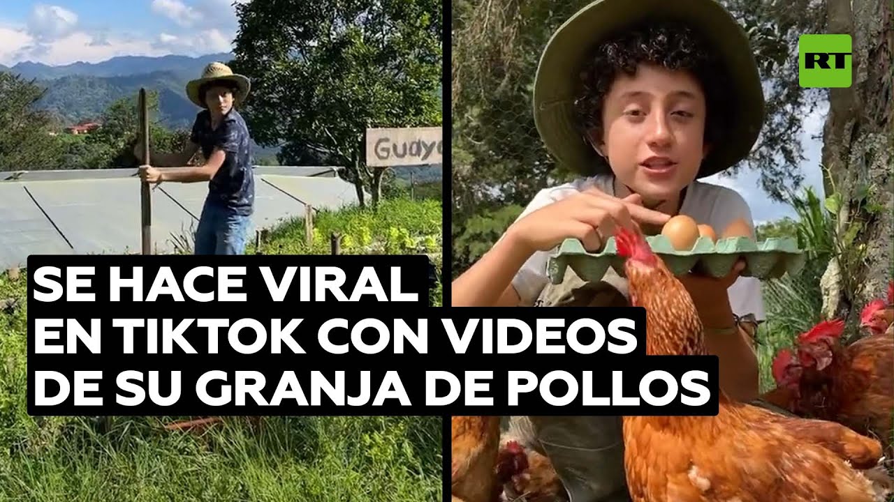 El 'tiktoker' campesino que está volviendo viral la vida en su granja de pollos @RT Play en Español