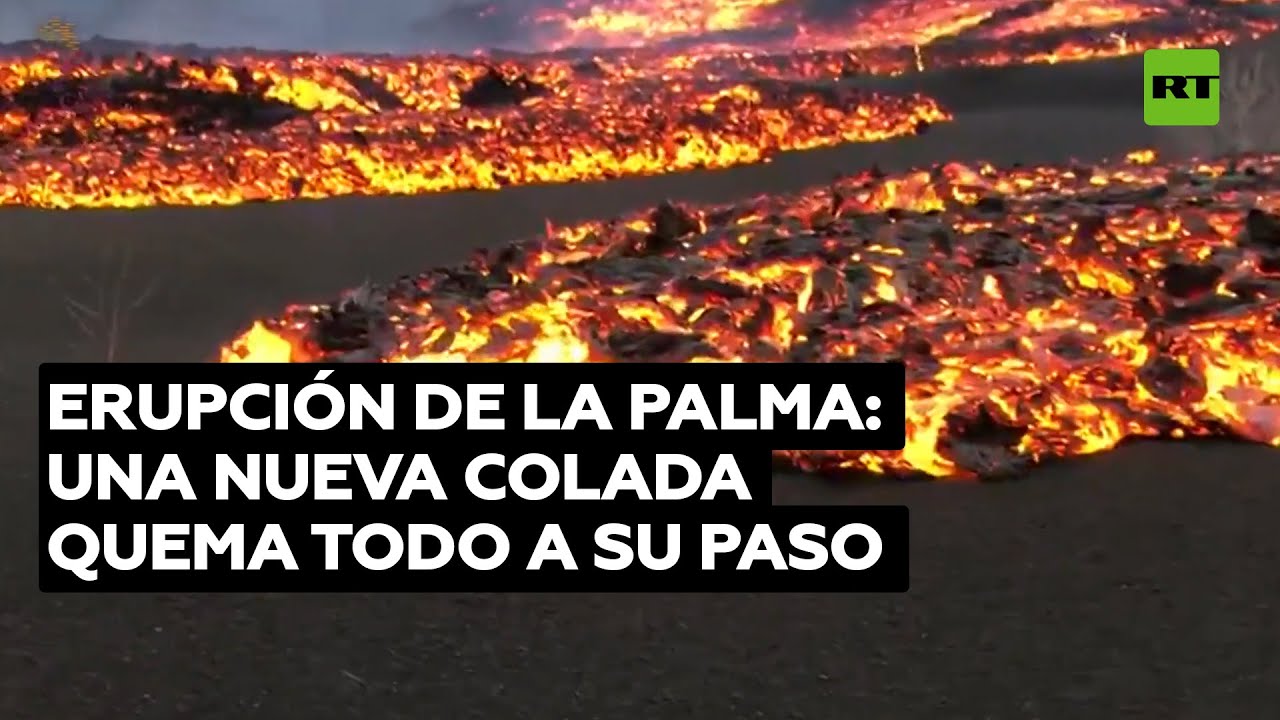Río de lava prende fuego a los árboles en La Palma