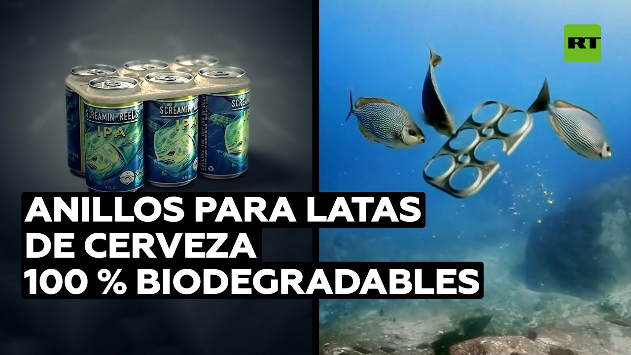 Anillas para cerveza que alimentan a la vida marina en vez de amenazarla @RT Play en Español