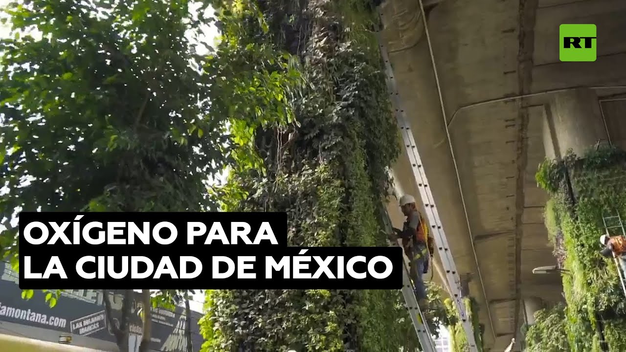 VIAVERDE: Los jardines verticales de la Ciudad de México @RT Play en Español