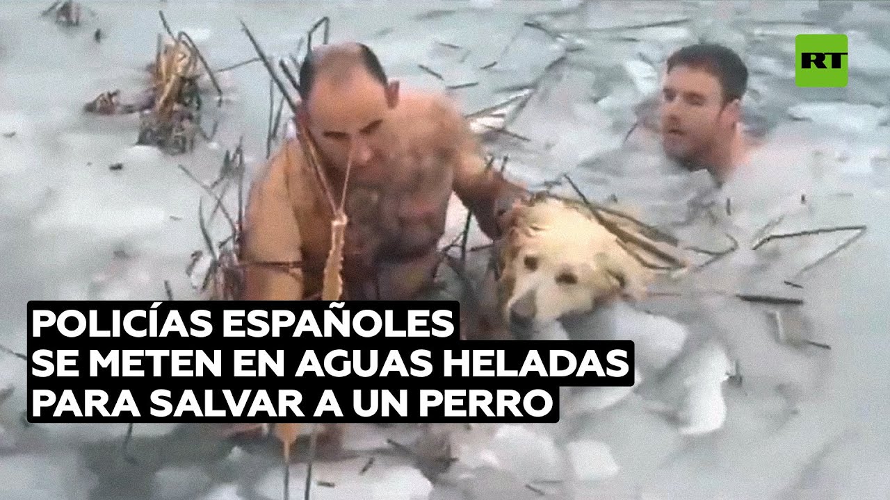 La Guardia Civil española rescata a un perro de un embalse helado
