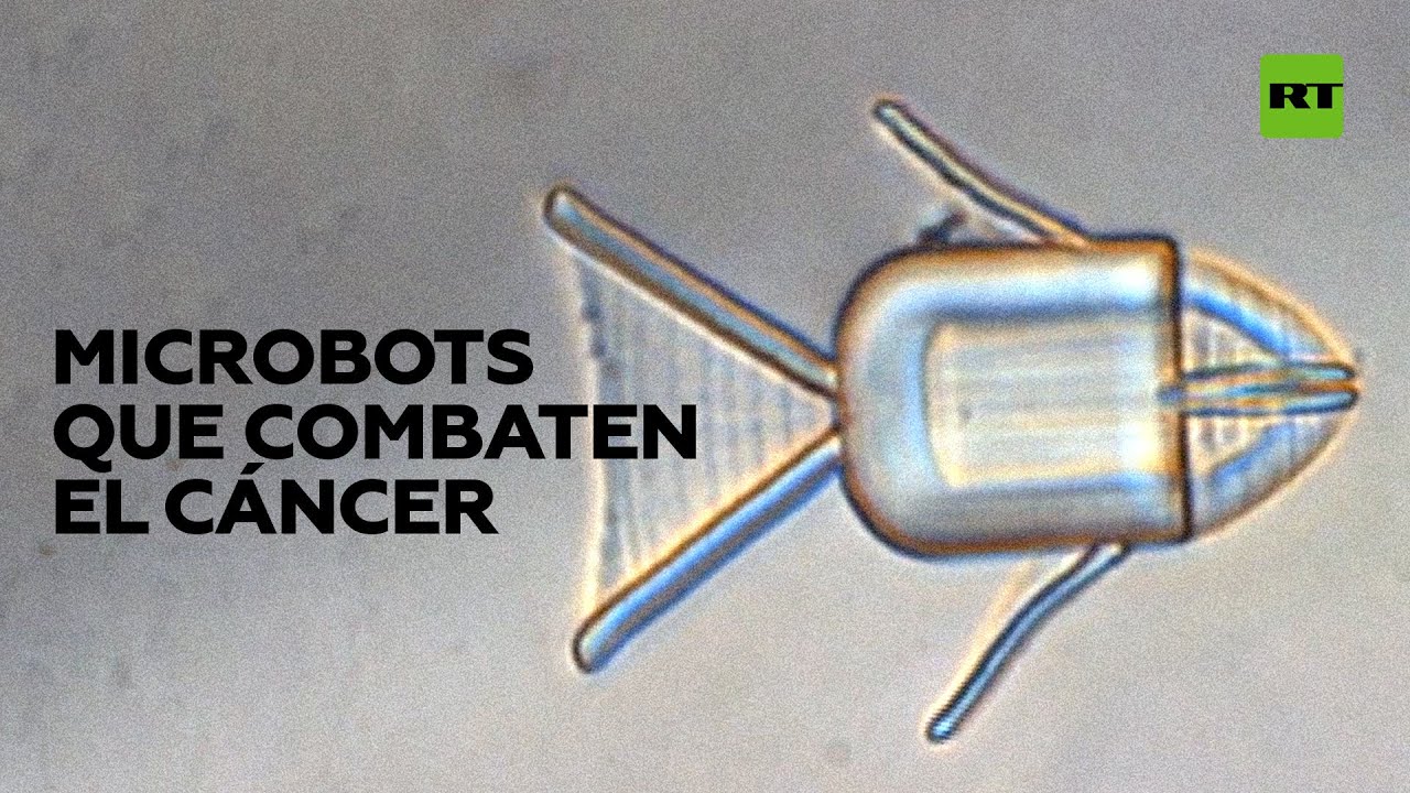 Microrrobots transportan la quimioterapia directamente hasta el tumor