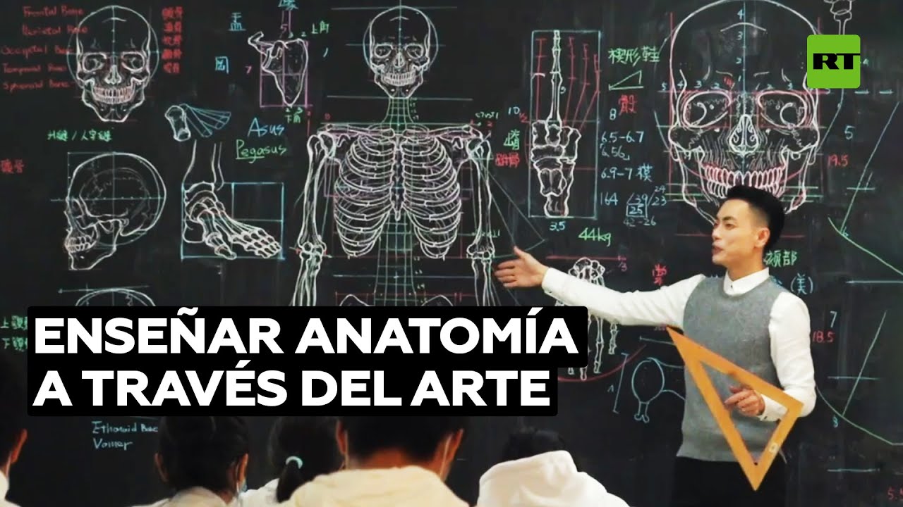 Un profesor dibuja detallados cuadros anatómicos en la pizarra @RT Play en Español