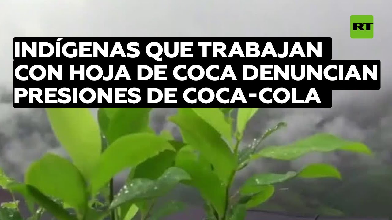 Indígenas que elaboran productos de la hoja de coca denuncian una presión de Coca-Cola