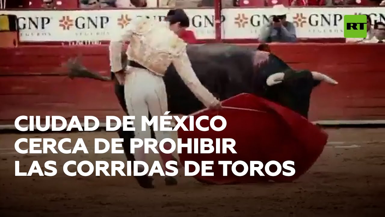 Buscan prohibir las corridas de toros en la Ciudad de México @RT Play en Español