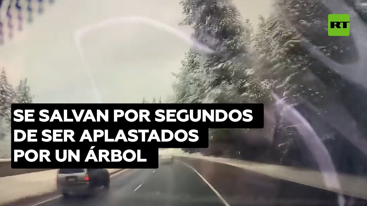 Evitan por poco que un árbol aplaste su coche en marcha @RT Play en Español