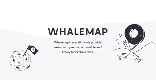La plataforma Blockchain Analytics Whalemap anuncia un aumento de $ 1,6 millones para simplificar los datos de Blockchain para el uso diario