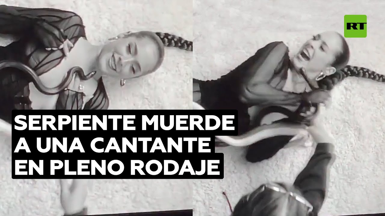 Serpiente muerde en la cara a una cantante durante el rodaje de un video musical