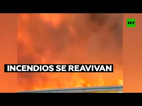 Los incendios forestales se reavivan en Uruguay luego de las lluvias