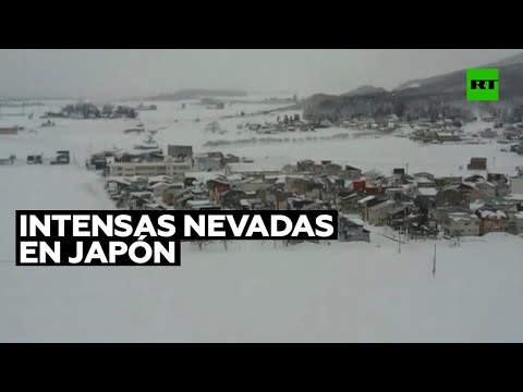 Intensas nevadas en Japón provocan la cancelación de al menos 230 vuelos y el cierre de carreteras