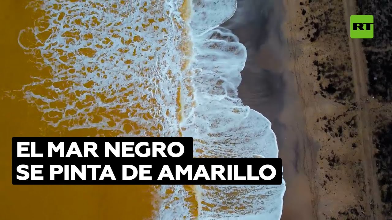 El mar Negro se pinta de amarillo @RT Play en Español