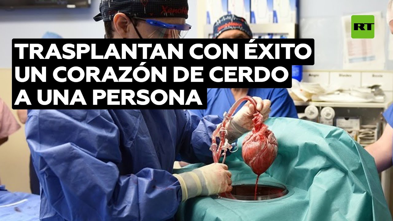 El primer trasplante exitoso de un corazón de cerdo a un ser humano @RT Play en Español