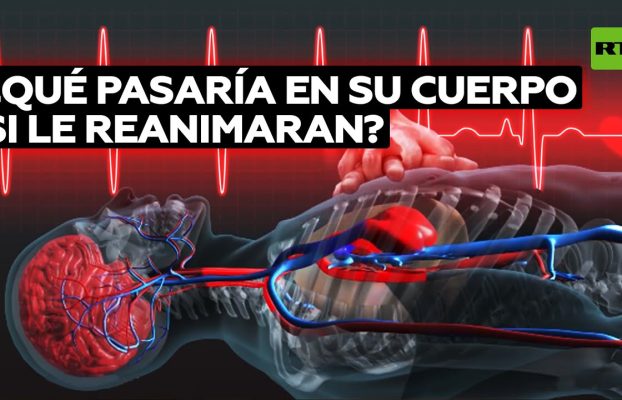 Cómo se ve un cuerpo desde dentro cuando recibe reanimación cardiopulmonar @RT Play en Español