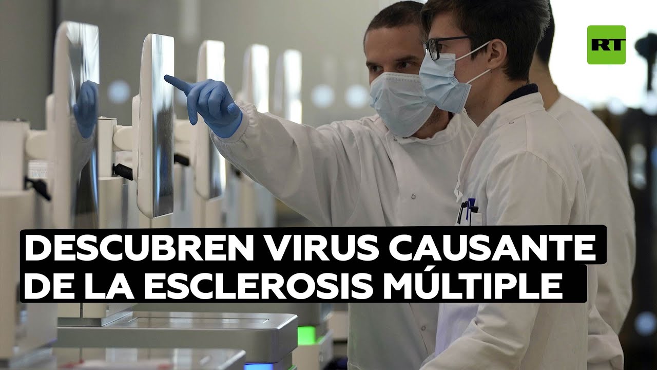 Científicos descubren que el virus que podría ser el causante de la esclerosis múltiple