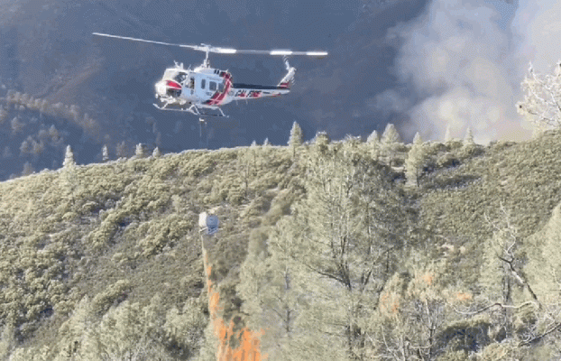 tira fuego en los bosques para provocar incendios controlados