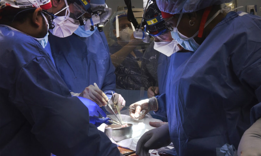 Completa el primer trasplante de corazón de cerdo a humano