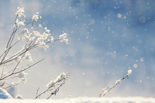 Crypto Winter: el gran temor de un inversor…