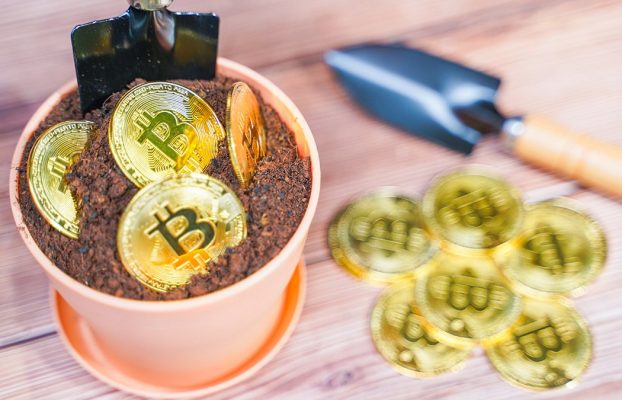 Con esta «mini granja», otro minero recibió en solitario recompensa de más de 6 bitcoins