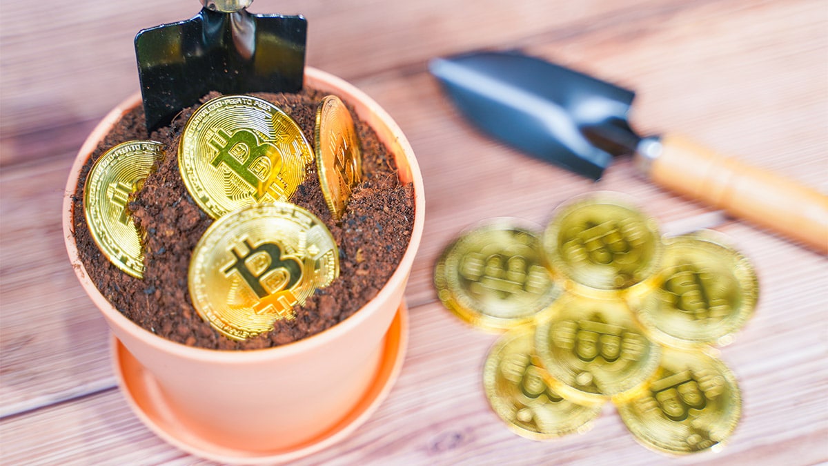 Con esta «mini granja», otro minero recibió en solitario recompensa de más de 6 bitcoins