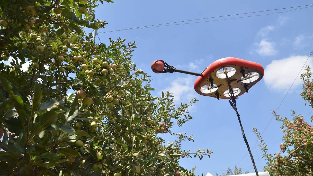 Estos enjambres de drones cosechan manzanas eligiendo automáticamente las que estén maduras