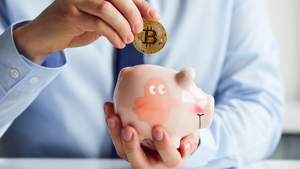 Specter facilita planes de ahorro en bitcoin mediante su software para administrar wallets