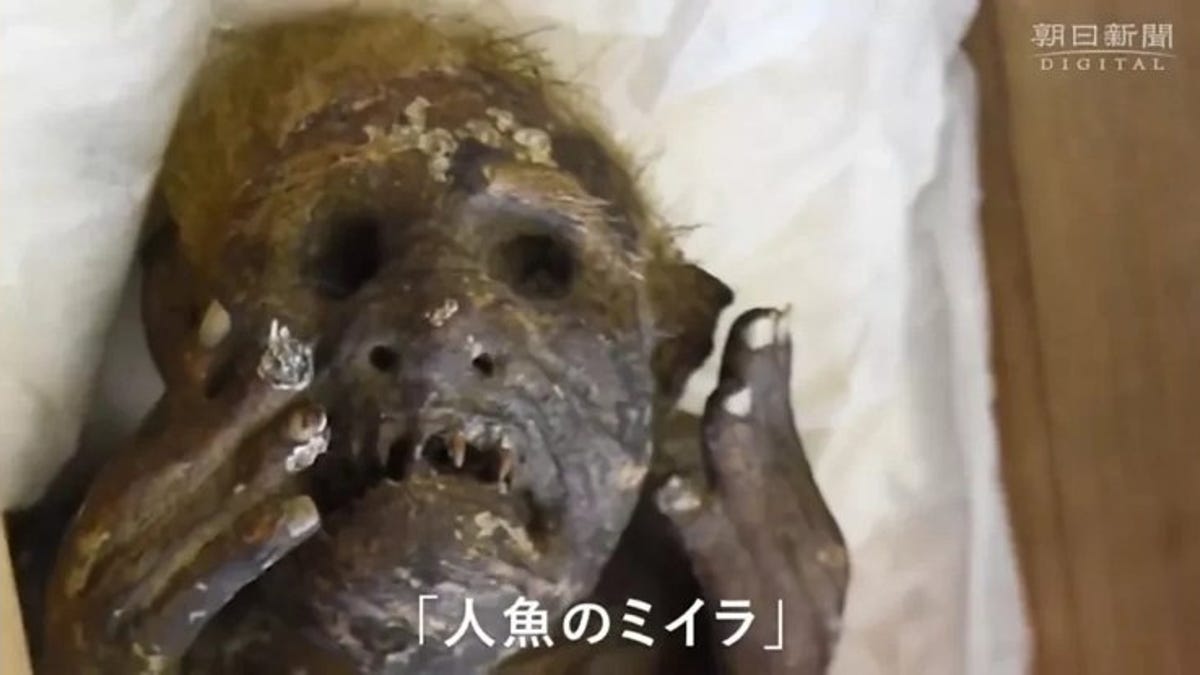 Explica el misterio detrás de la momia “sirena” que da la inmortalidad