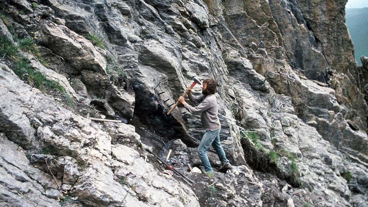 Encuentran fósiles de reptiles marinos gigantes en los Alpes