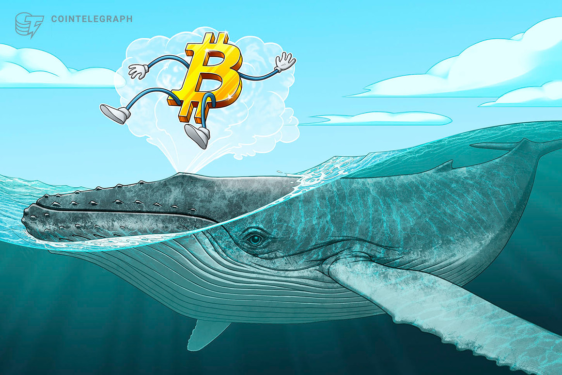 Las reservas de las ballenas de Bitcoin alcanzan picos de 7 meses a pesar de las advertencias de caída del precio de BTC a USD 20,000
