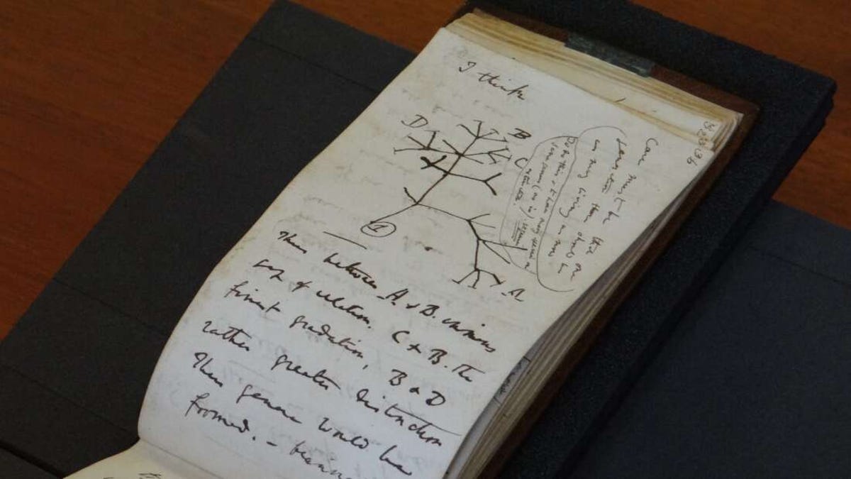 Alguien ha devuelto los cuadernos robados de Charles Darwin