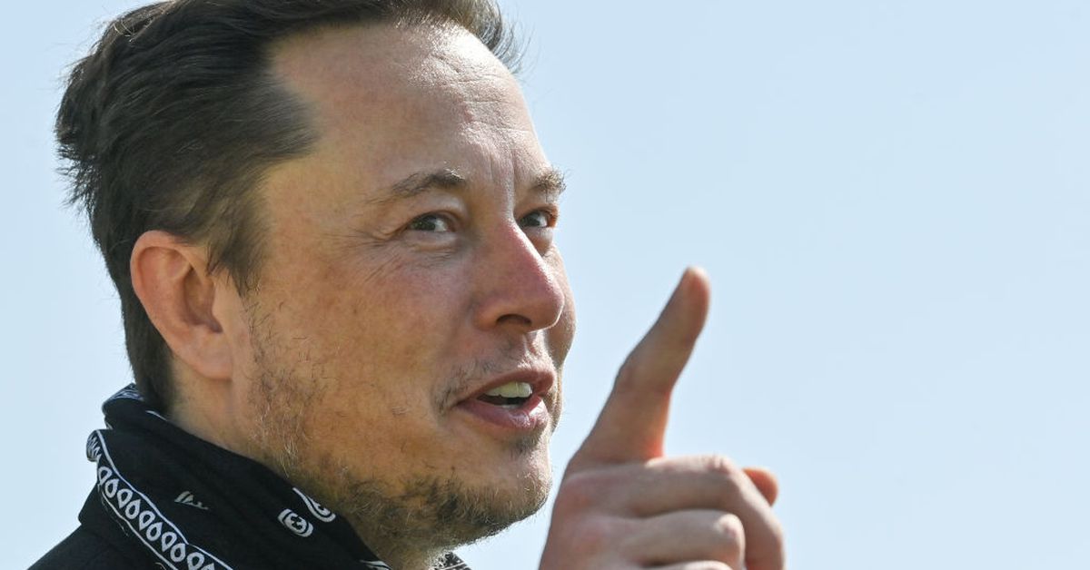 APE surge, se hunde mientras Elon Musk se burla con un collage de mono aburrido como imagen de perfil
