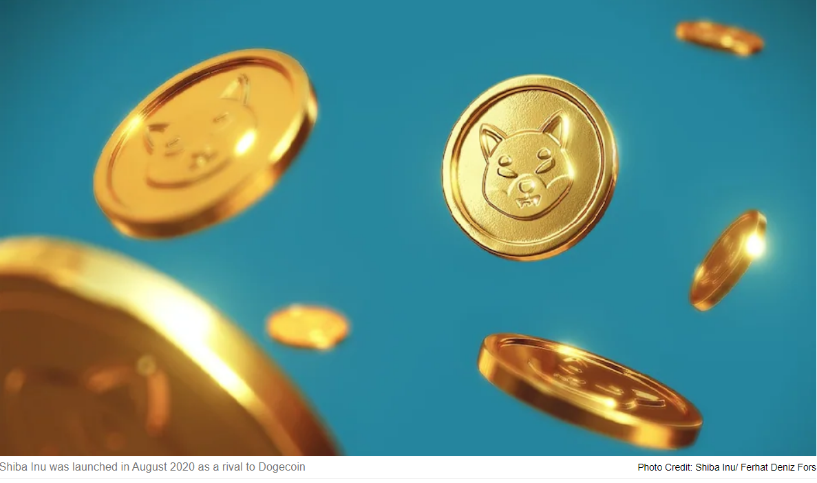 Muévase sobre Bitcoin – ¿Es Shiba Inu el próximo oro criptográfico?