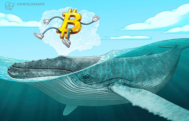 Las ballenas de bitcoin tienen un comportamiento cada vez más bajista