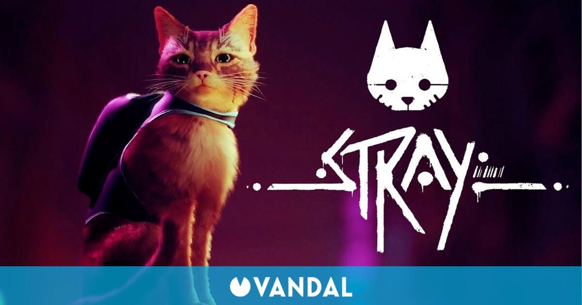 Stray se lanzaría el 19 de julio según la base de datos interna de PlayStation